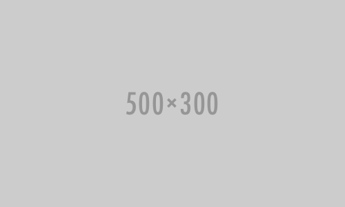 success_500_300